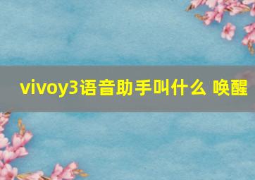 vivoy3语音助手叫什么 唤醒